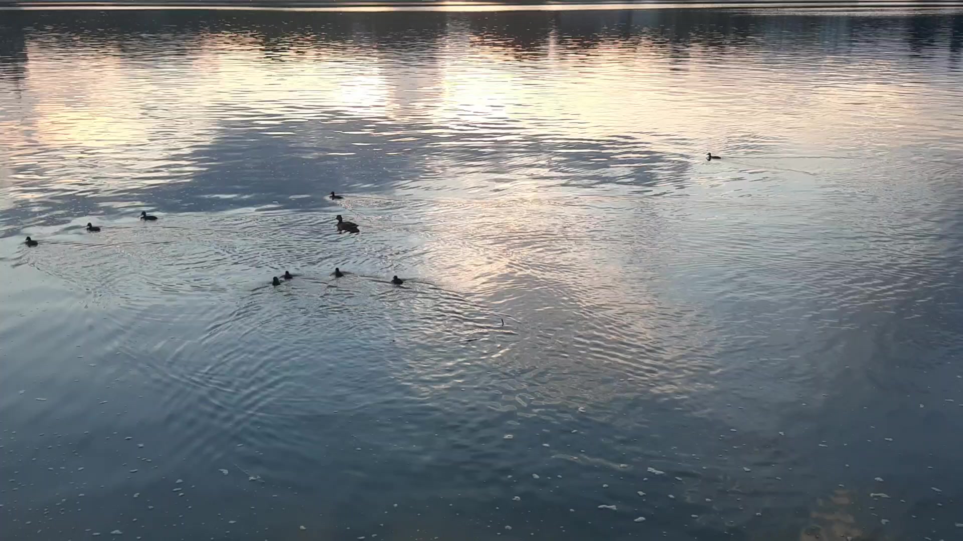 ÑƒÑ‚ÐºÐ¸ (2)