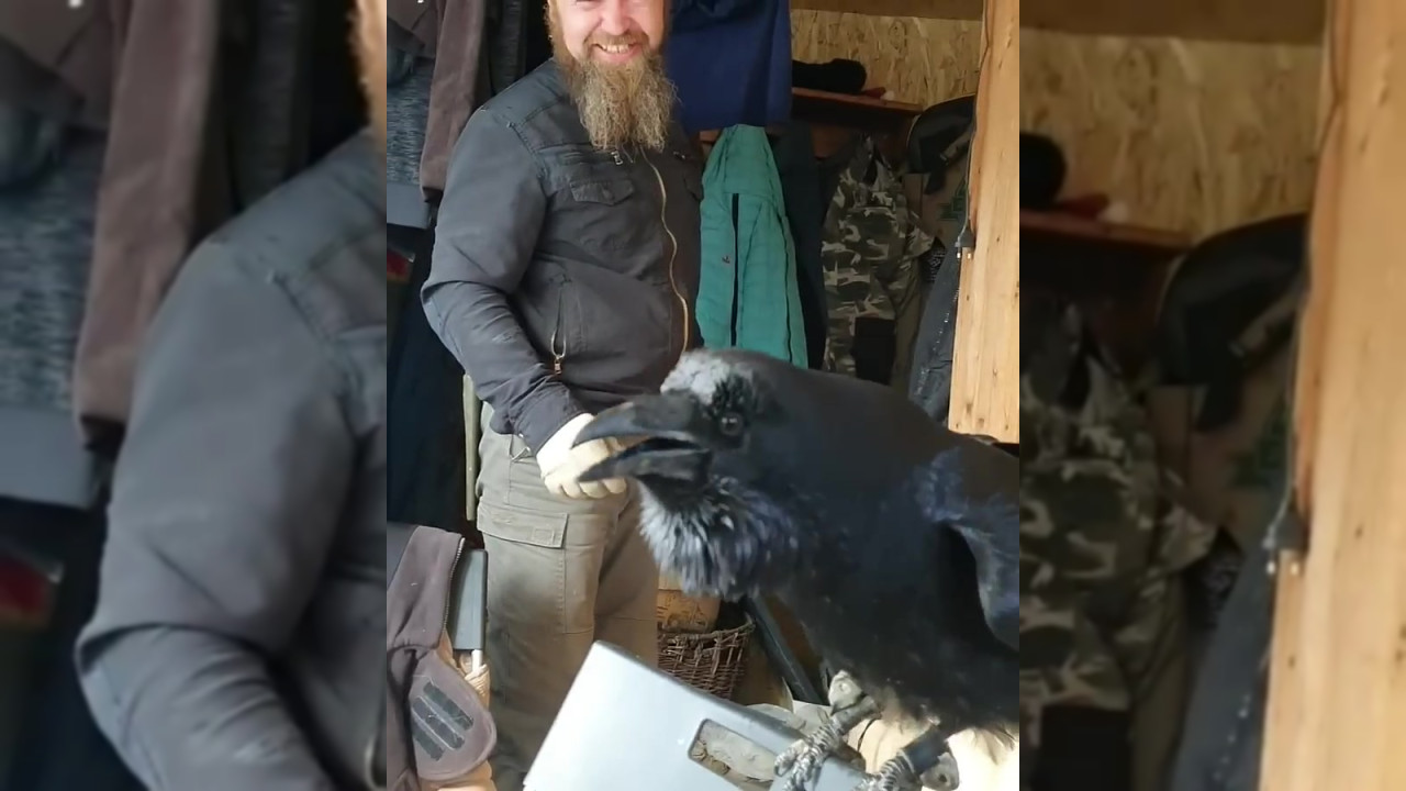 тестирование видеоконвертации 8