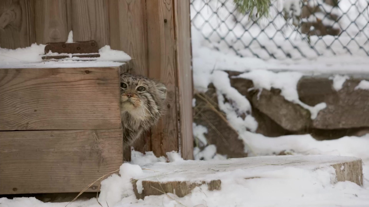 тестирование видеоконвертации 14